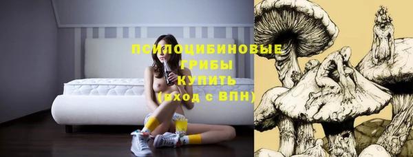 2c-b Горно-Алтайск