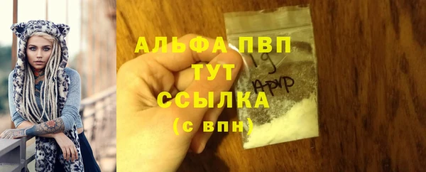 МДПВ Волоколамск