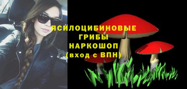 2c-b Горно-Алтайск