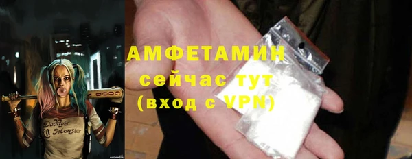 ПСИЛОЦИБИНОВЫЕ ГРИБЫ Гусь-Хрустальный